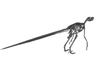 Velociraptor Skeleton 3D Model preview
