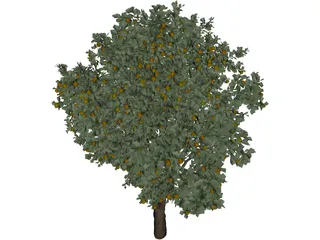 Orange Tree 3D Model preview