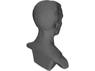 Nikola Tesla Bust 3D Model preview