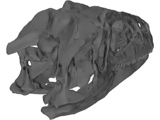 Allosaurus Fragilis Skull 3D Model preview