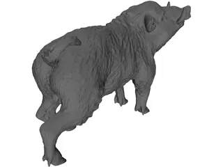 Wild Boar 3D Model preview
