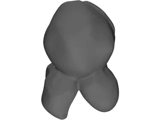 Popcorn 3D Model preview