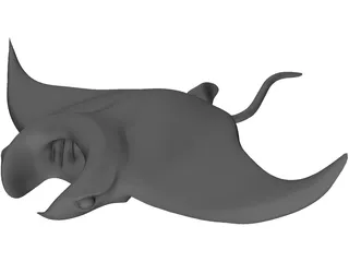 Manta Ray 3D Model preview