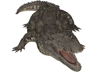 Crocodile 3D Model preview