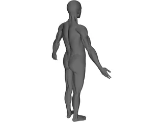 Full Human Anatomy for Simulation 3D Model preview