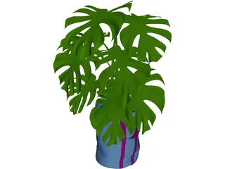 Monstera Deliciosa 3D Model preview