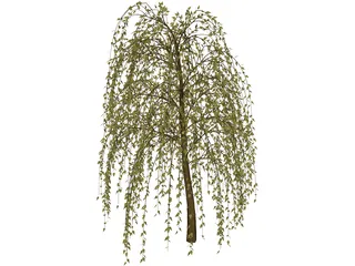 Tree 3D Model preview