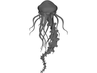 Jelly Fish 3D Model preview