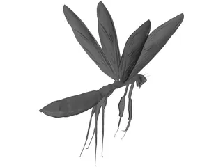 Flying Mantis 3D Model preview