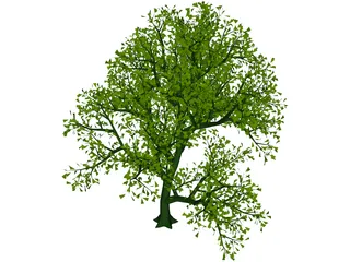 Lush Tree 3D Model preview
