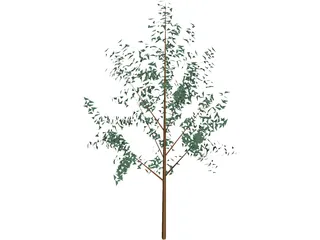Tree 3D Model preview