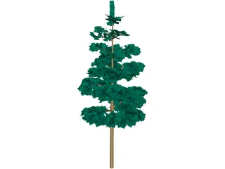 Redwood Tree 3D Model preview