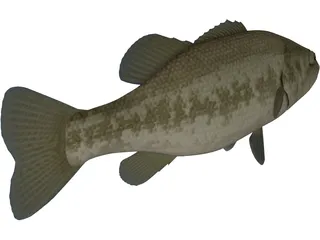 Florida Largemouth Bass 3D Model preview
