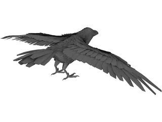 Raven 3D Model preview
