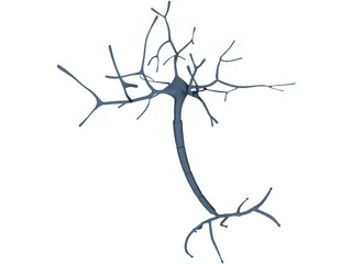 Neuron 3D Model preview