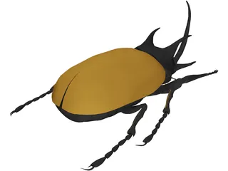Beetle 3D Model preview