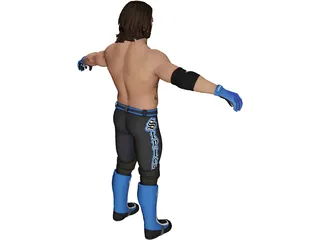 Aj Styles Fighter 3D Model preview