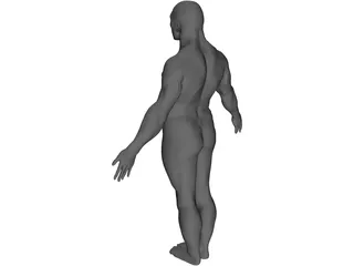 Male Human Figure 3D Model preview