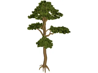 Pine 3D Model preview