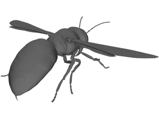 Hornet 3D Model preview