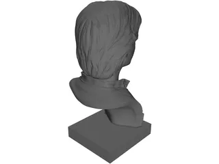 Han Solo Bust 3D Model preview
