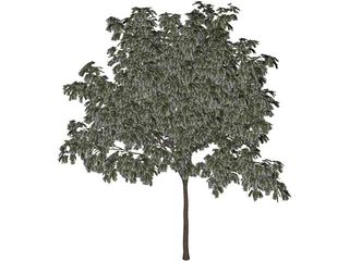 Arbol Tree 3D Model preview