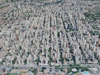 Sao Paulo City, Brazil (2019) 3D Model preview