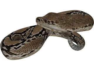 Rattlesnake 3D Model preview