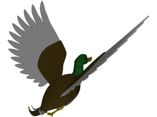 Duck Flying 3D Model preview