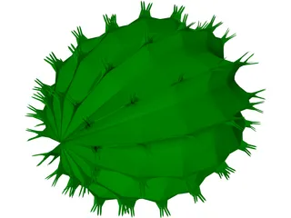 Barrel Cactus 3D Model preview