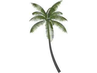 Palm 3D Model preview