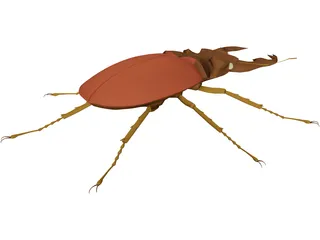 Beetle 3D Model preview