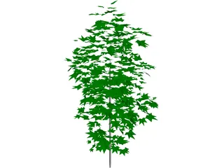 Tree 3D Model preview