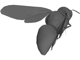 Bee 3D Model preview