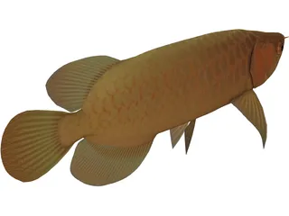 Asia Arowana 3D Model preview