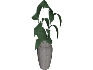 Ficus 3D Model preview