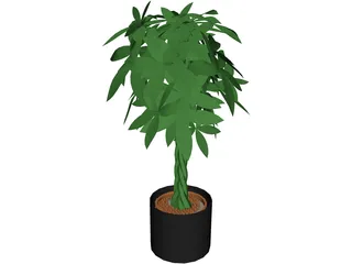 Spatiphylum 3D Model preview