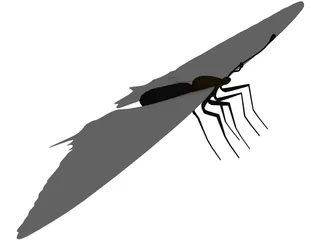 Sallow Tail Butterfly 3D Model preview