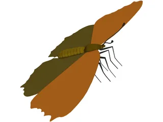 Poke Eye Butterfly 3D Model preview