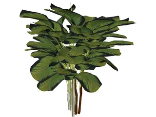 Bamboo Palm 3D Model preview