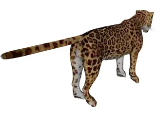 Jaguar 3D Model preview