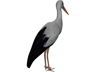White Stork 3D Model preview