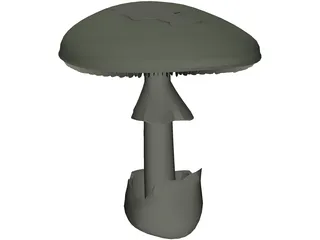 Amanita Phalloides: Death Cap Mushroom 3D Model preview