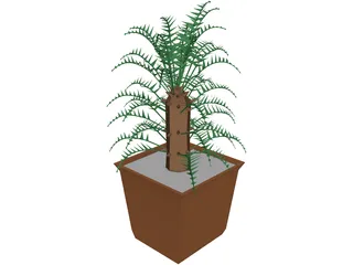 Cica Palm Tree with Sisal Vase 3D Model preview