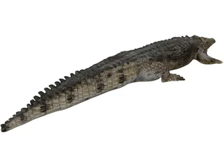 Crocodile 3D Model preview