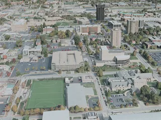 Springfield City, MO, USA (2020) 3D Model preview