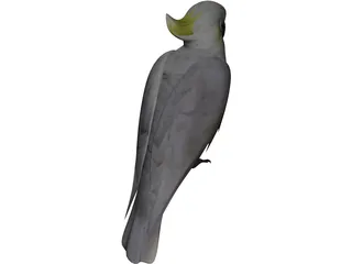 Parrot 3D Model preview