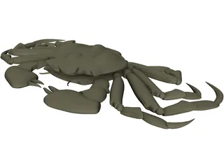 Chinese Mitten Crab 3D Model preview