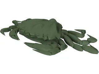European Green Crab 3D Model preview