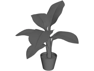 Banana Plant 3D Model preview